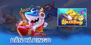 Định nghĩa về bắn cá Bingo