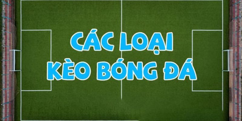 Các dạng cược được ưa chuộng nhất trong kèo Châu Á là gì?